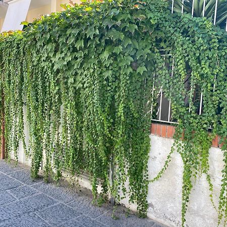 Ammore Ammare Apartment Ischia Exterior foto