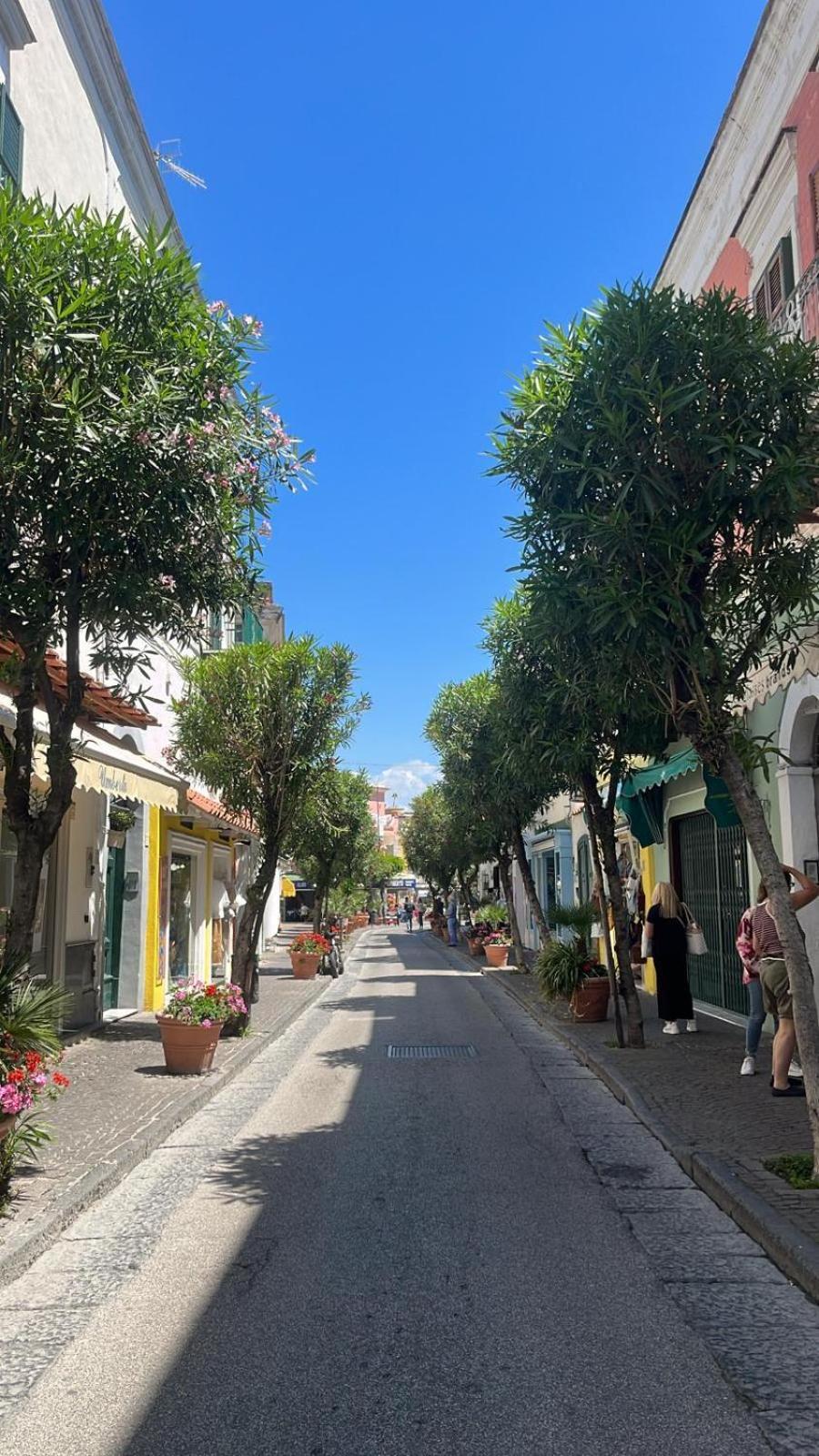 Ammore Ammare Apartment Ischia Exterior foto